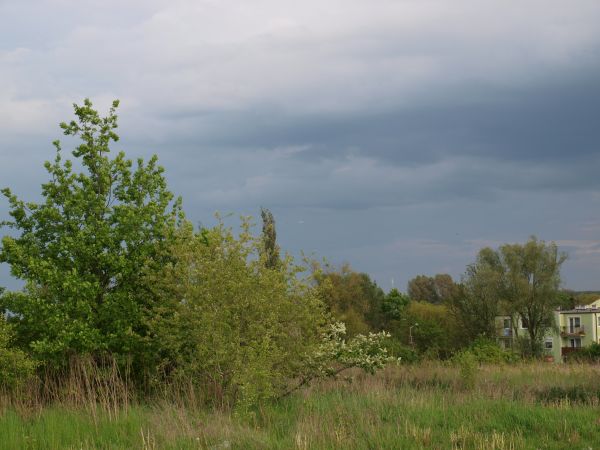 zdjecie Pruszcz Gdański