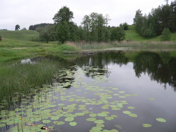 W miejscowości kilka małych jezior. Bez grama nieczystości.