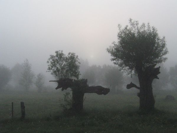 Poranek po burzliwej nocy