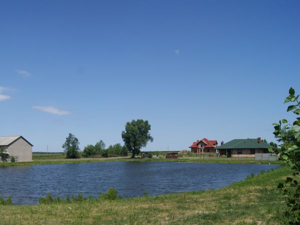 Staw w Dębowej Górze