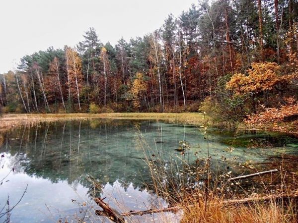 Rezerwat Przyrody Dolina Żabnika jesennie