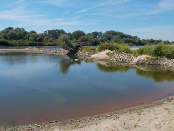 Niezwykła przyroda królewskiej Wisły.