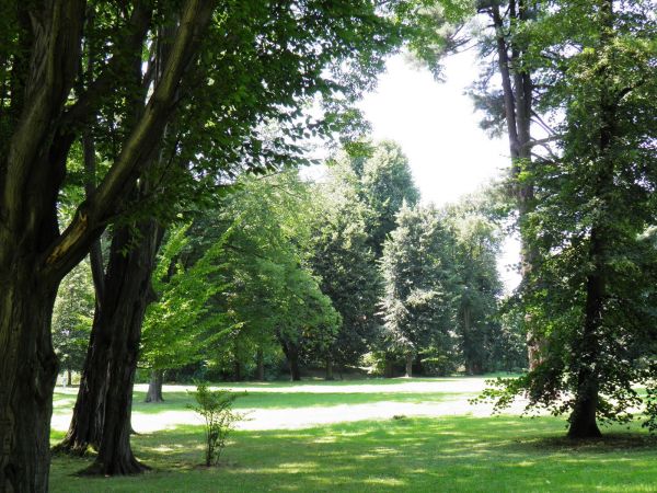 Zamek - Muzeum w Łańcucie. Park - fragment