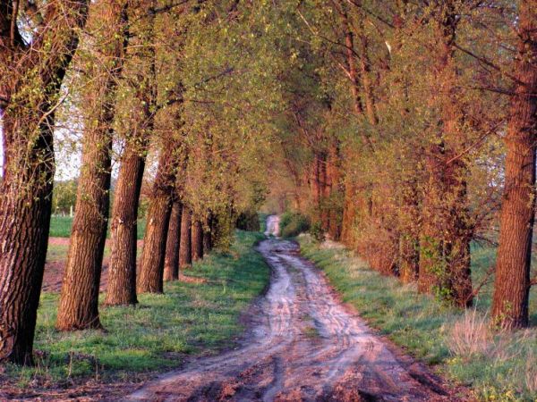 Droga Grabowska  potocznie