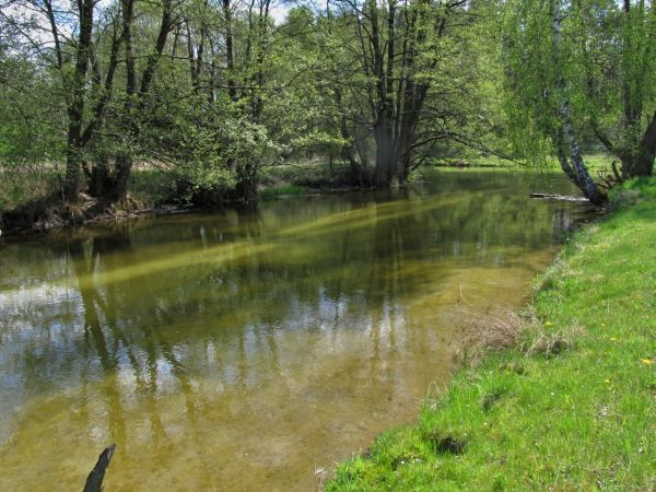 Kanał rzeki Wdy oraz teren nad nim położony
