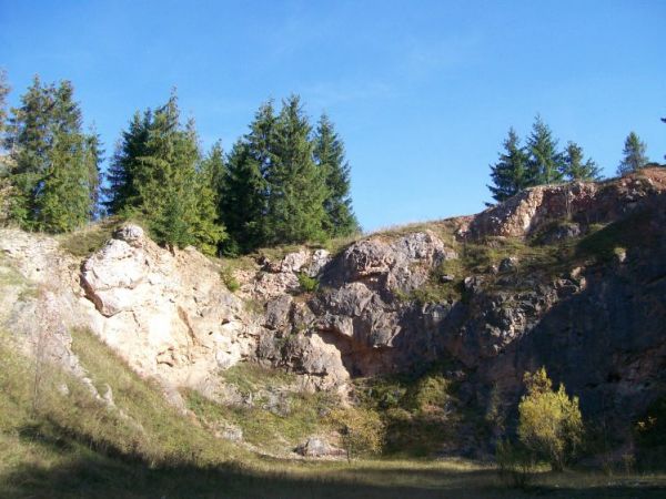 Miłośników przyrody oraz historii zapraszamy na "Skałkę Rogoźnicką" która jako jedyna w Polsce znajduje się na Liście Światowego Dziedzictwa Geologicznego UNESC