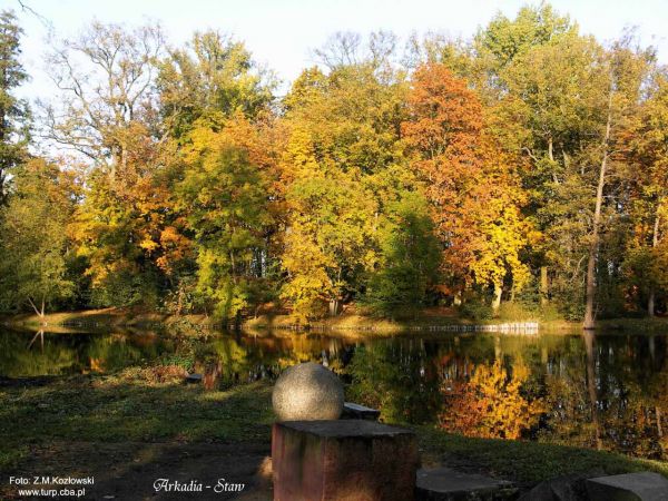 zdjecie Arkadia