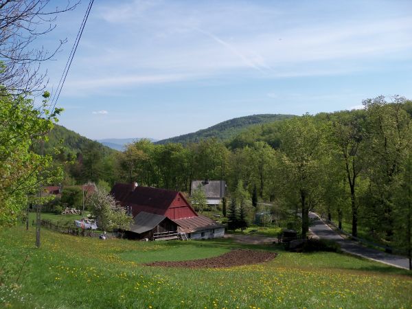 Ulica Michałowicka....