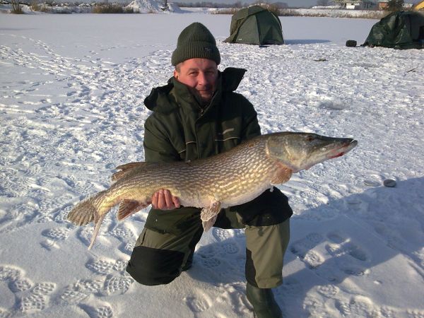 Takie szczupaczki z Chwałowic