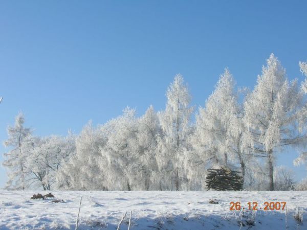 zdjecie Jasienica Rosielna