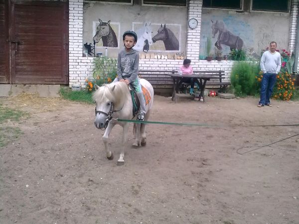 Stadnina Koni Wilkasy