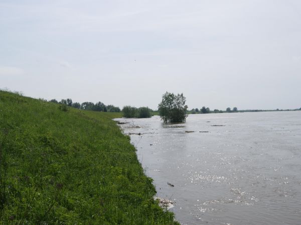 Dosiegajaca do podnoza walu woda....dzis 24 maja(poniedzialek) jest juz wyzsza.....