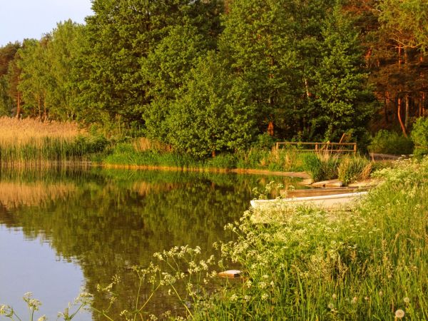 Nad jeziorem Wdzydze wiosną 2016