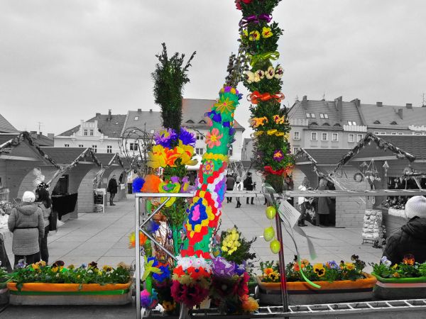 zdjecie Wodzisław Śląski