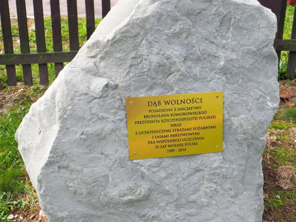 głaz - na nim tablica : przy Muzeum Kultury Bojków, upamiętnia posadzony obok Dąb Wolności.