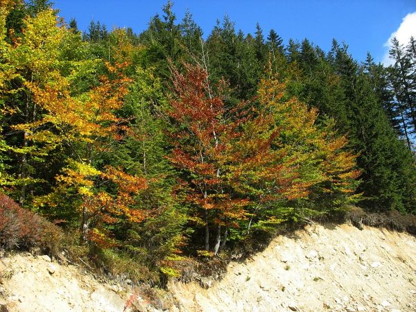 Szczyrk - Biały Krzyż