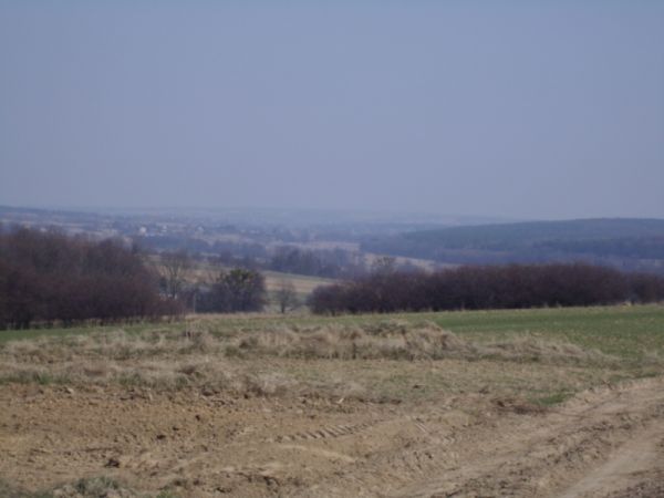 Patrząc z Łysej Góry w stronę Krasnegostawu