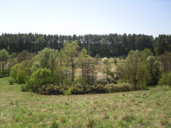 zdjecie Krępsk