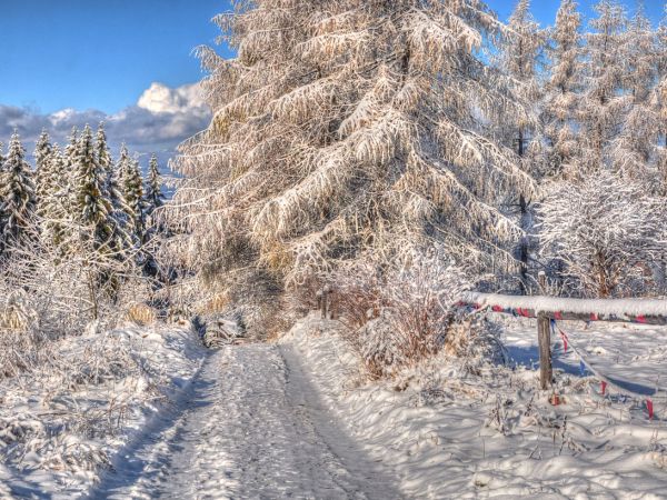 zdjecie Zakopane
