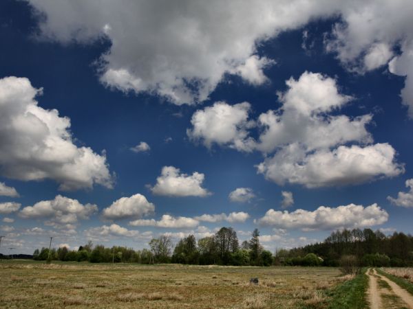 zdjecie Tyniewicze Duże