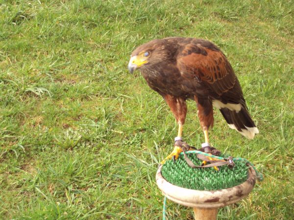 zdjecie Bezmiechowa Górna