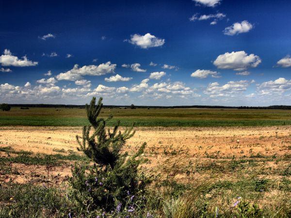 zdjecie Tyniewicze Duże