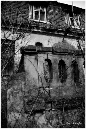 KOŁBACZ

http://wojtekkrajnik.com.pl/