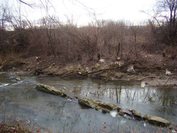 progi skalne - w korycie urokliwie przepływającego tędy Sanoczka.