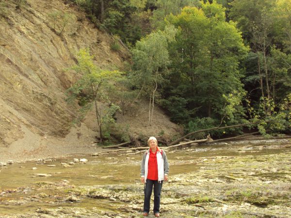 Nad Wisłokiem występują ściany skalne, dochodzące do 40 m wysokości. Najciekawsza ze ścian - zlewnia dawnej Olzy - to największa w pobliskich Karpatach odkrywka