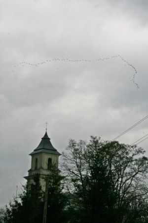 klucz dzikich gęsi na rymanowskim niebie - one wrócą i my tu wrócimy, by nadal poznawać uroki tego miasteczka i okolic...