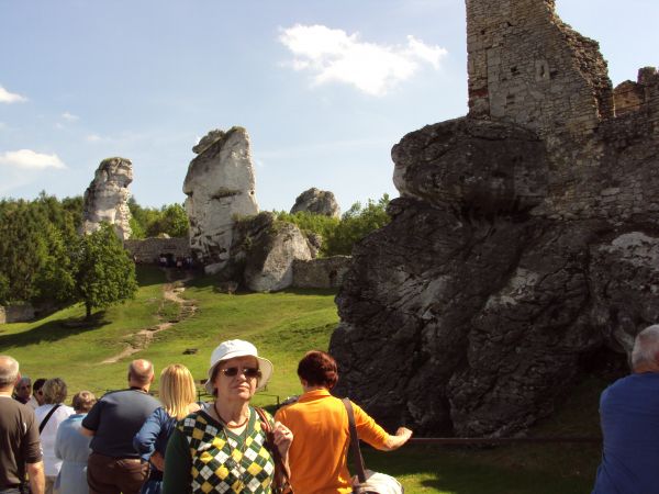 Jura to popularna nazwa Wyżyny Krakowsko-Częstochowskiej. Krajobraz tych terenów tworzą wapienne skałki, malownicze wzgórza, lasy oraz ruiny gotyckich zamków. I