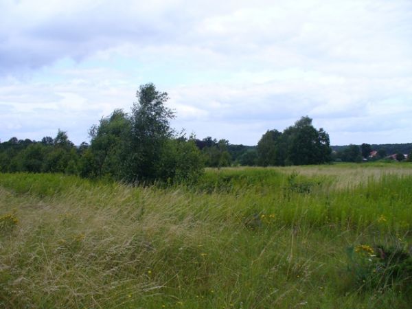 zdjecie Morzęcin Mały