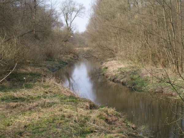 Rzeka "Długa"  ,tu się rozgrywała słynna bitwa z armią bolszewicką