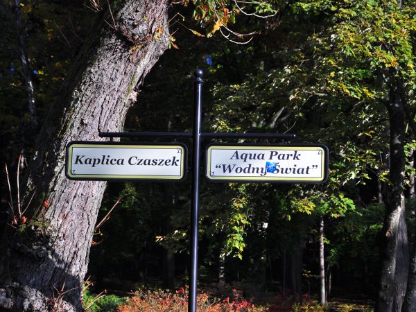 zdjecie Kudowa-Zdrój
