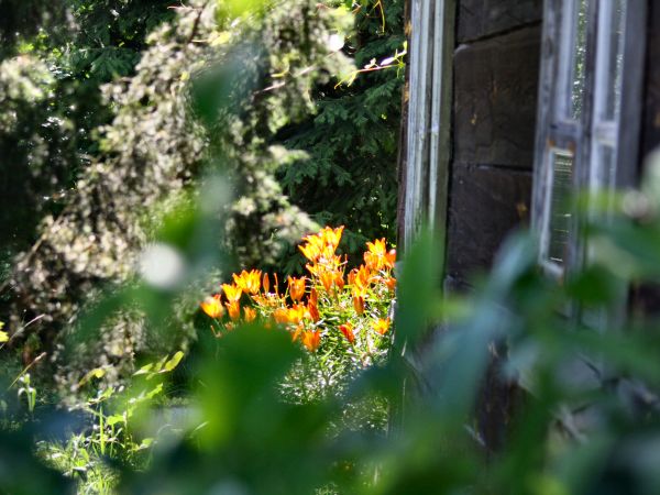 zdjecie Tyniewicze Duże