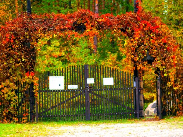 Wejście do Arboretum