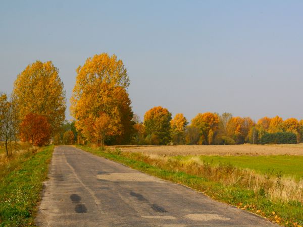zdjecie Tyniewicze Duże