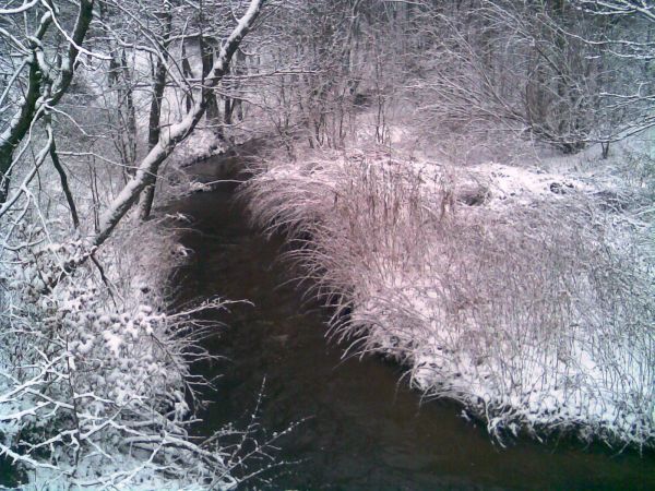 Rzeka Strzelniczka,niektóre żródła podają nazwę Strzelenka. Niezłe miejsce na spacery,nie tylko zimowe.