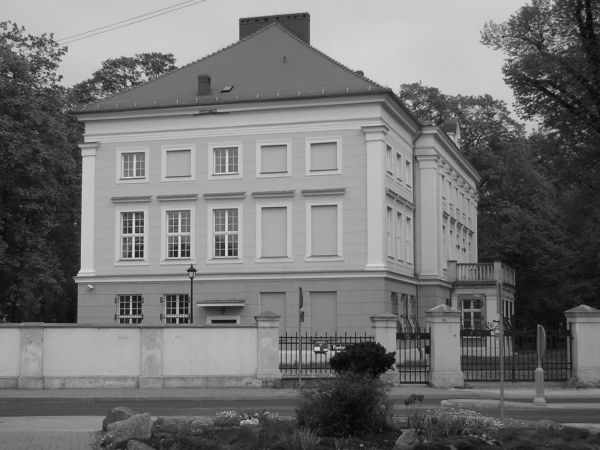 zdjecie Sulechów