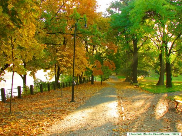 Bulwar Xawerego Dunikowskiego