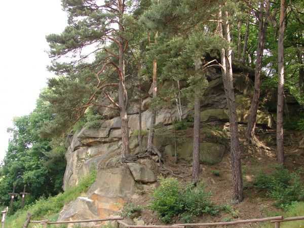 zdjecie Ciężkowice