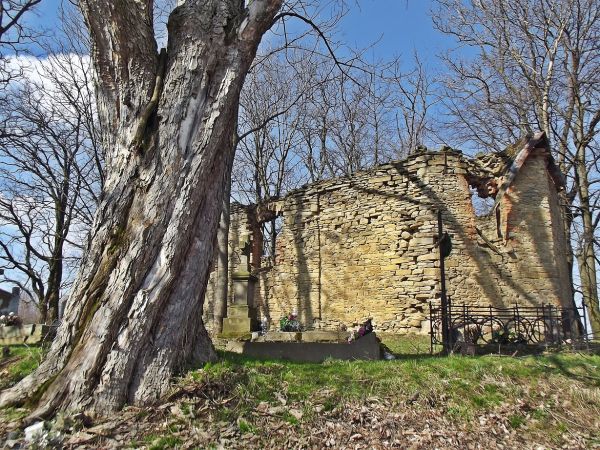 drzewa się splotły, z jednego źródła pokarm pobierają, tyle lat w uścisku i w zgodzie cieniem obdarzają wszystkich tu spoczywających - przy tych murach cerkiewn