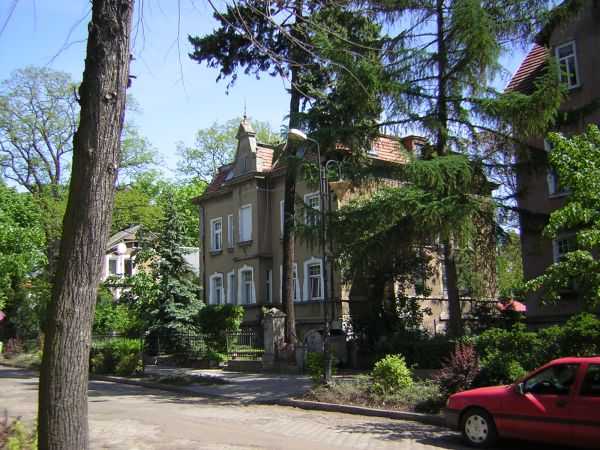 zdjecie Sulechów