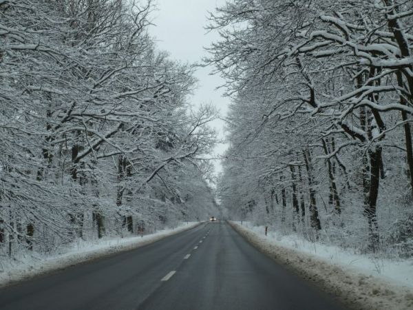 Wola wadowska zima 2008