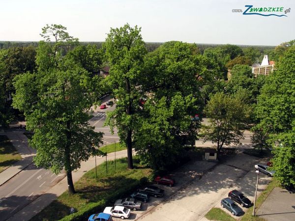 Nasze piękne zawadzkie