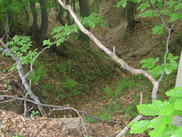 na wzgórzu był gród - zamek - pałac - dwór: przez stulecia napadany, grabiony, z dymem puszczany - na nowo wznoszony, często przebudowywany,  fortyfikowany, o w