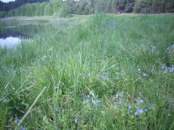 zdjecie Piłatowszczyzna