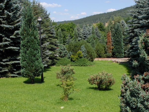 Park