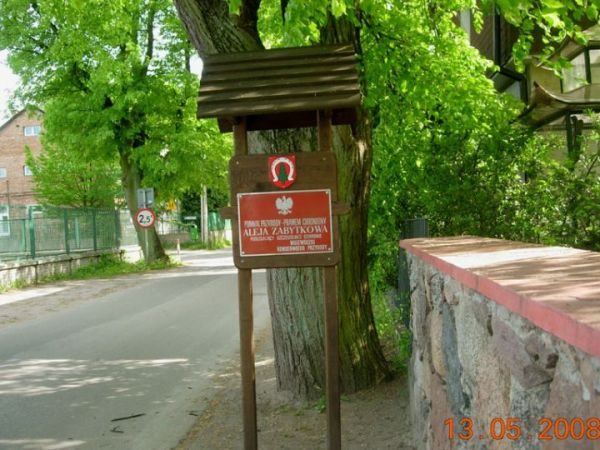 Aleja zabytkowa za kościołem