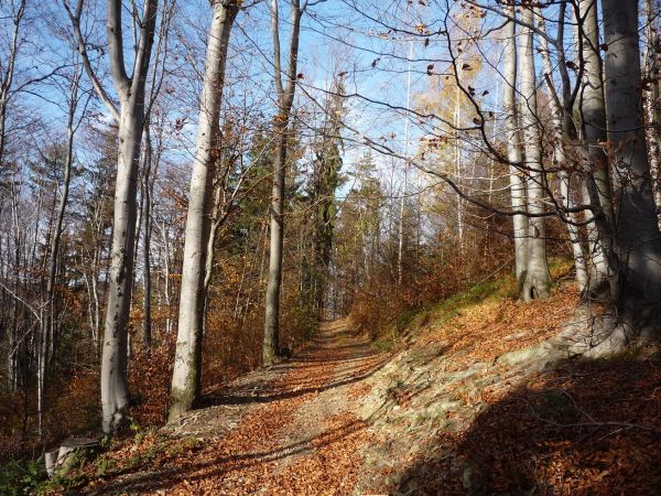 Płaj Kijowej Góry.